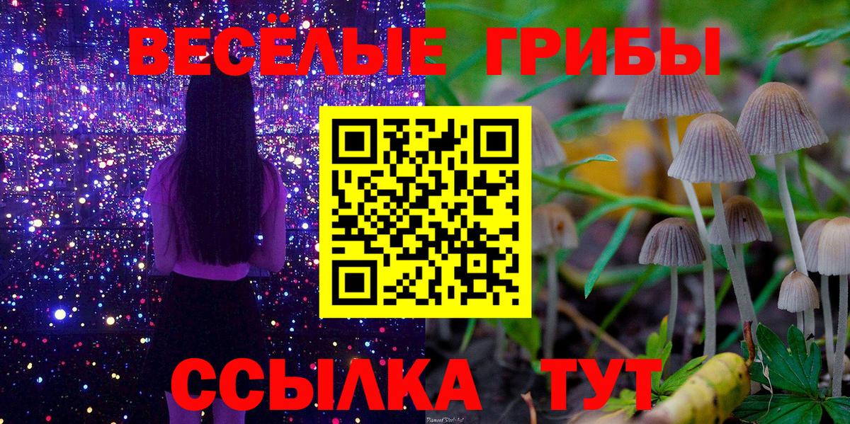 Псилоцибиновые грибы Cubensis Беслан